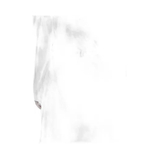 Crepe De Chine/6Oz Denim Right Dart Flare Pants