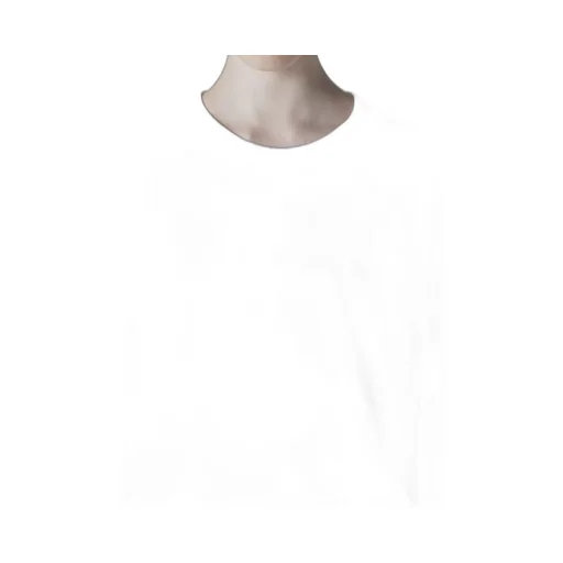 Coton Jersey Y's Stitch Long Sleeve Big T