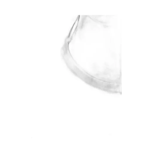 Coton Jersey Y's Stitch Long Sleeve Big T