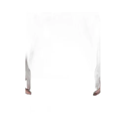 Coton Jersey Y's Stitch Half Sleeve Big T