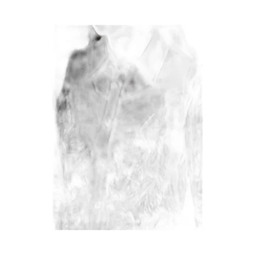 Cotton Organza Lawn Backside Flared Slim B