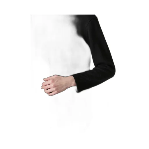 Paneled Turtle Neck Po