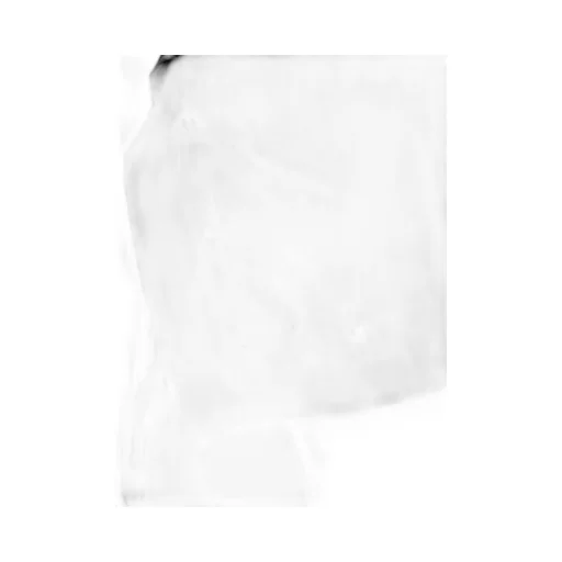Poplin Snap Dress