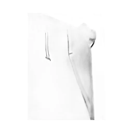 Fulling Serge Wide Pants