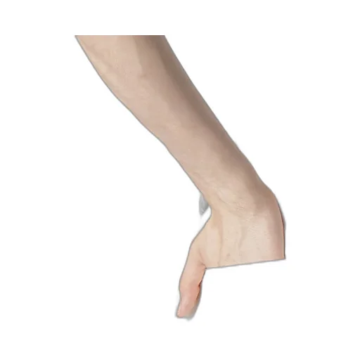 C/L Printed Darts Detail Pants