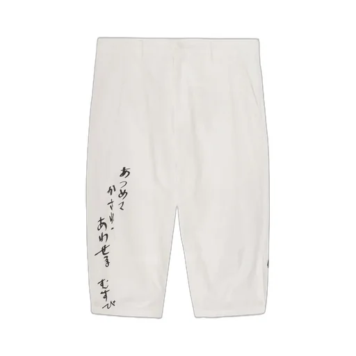 C/L Printed Darts Detail Pants