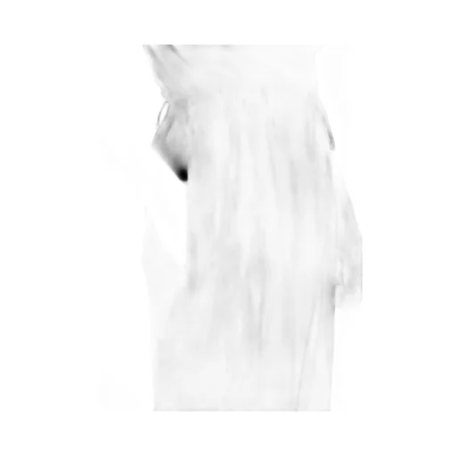 L Veil Lawn R-Ribbed Hem Pants