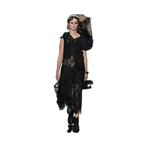 Cotton Organza Lawn Paneled 3D Blouse