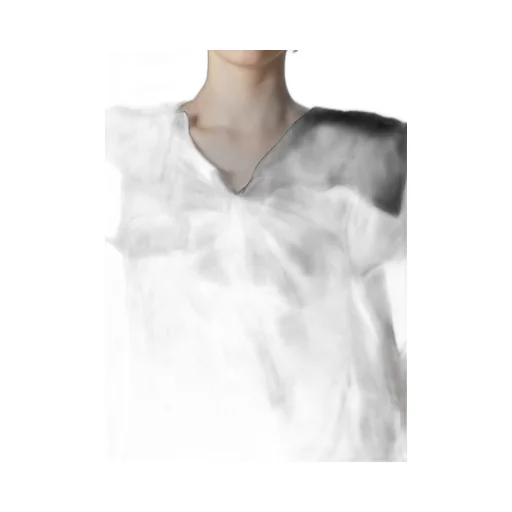 Cotton Organza Lawn Paneled 3D Blouse
