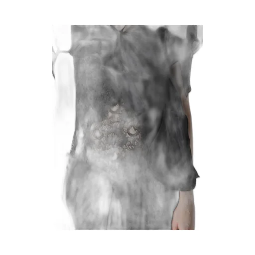 Cotton Organza Lawn Paneled 3D Blouse