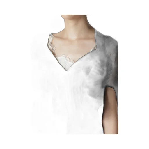Lace 3D Blouse
