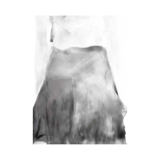 Darts 3D Skirt
