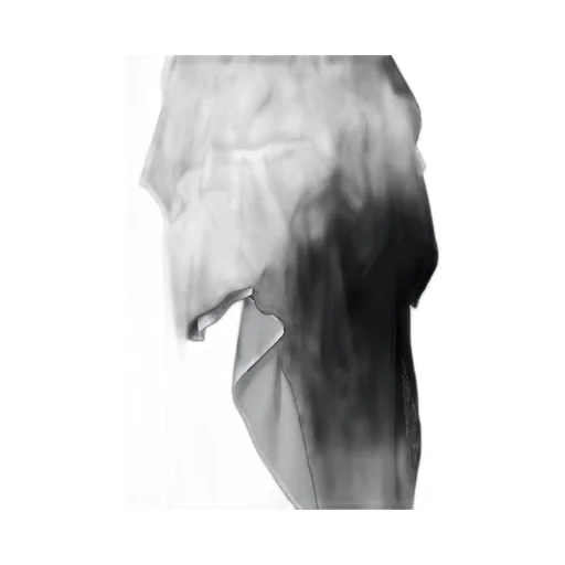 Reversed Seam Long S