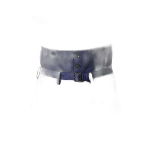 Multi Striped Dobby Chino Belted High Waist Pants