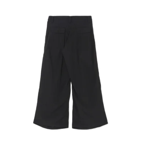 Wide Leg Pleated Pants