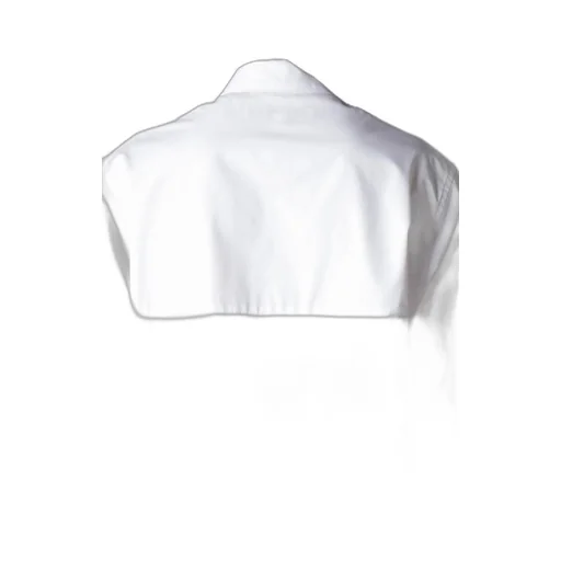 100/2 Broad Shirt With Panel Pocket