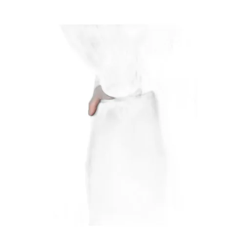 Wool Gabardine Wide String Pants