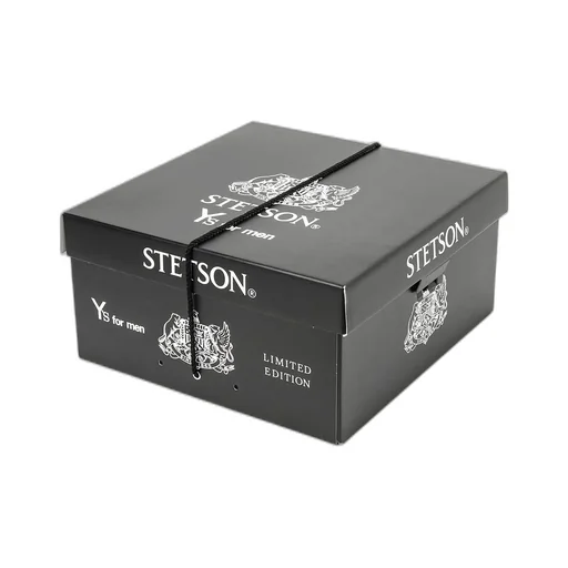 Y’S For Men × Stetson Whippet Standard Version