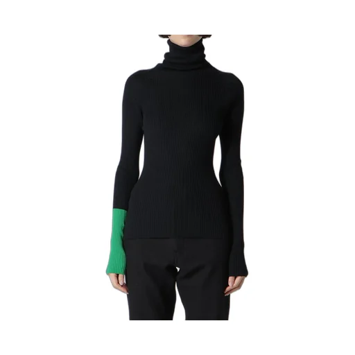 Rib Color Combi High Neck Po