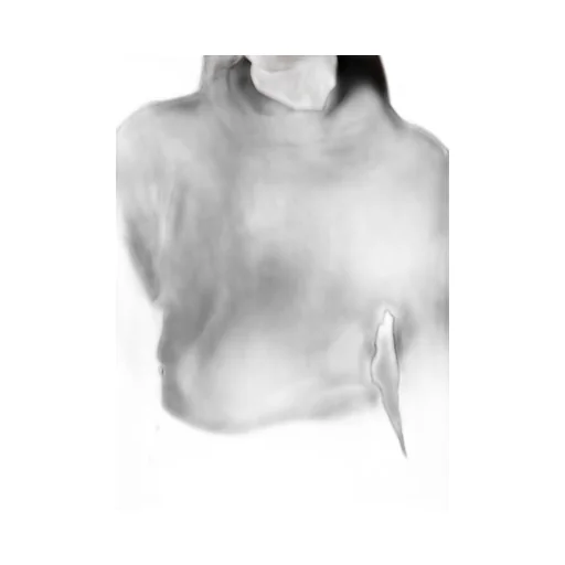 High Twisted Links Draped Turtle Neck Po