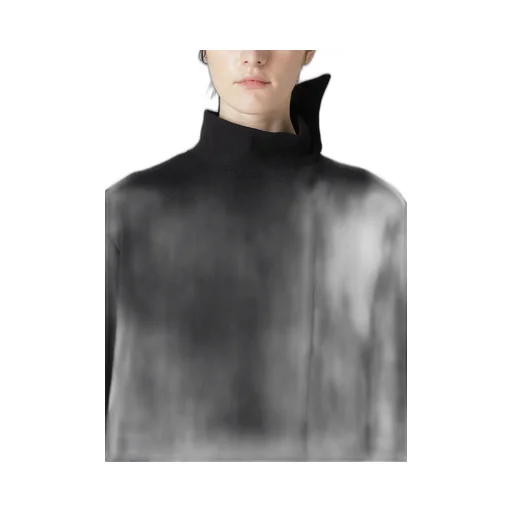 Liy/C Brushed French Terry Paneled High-Neck Pullover