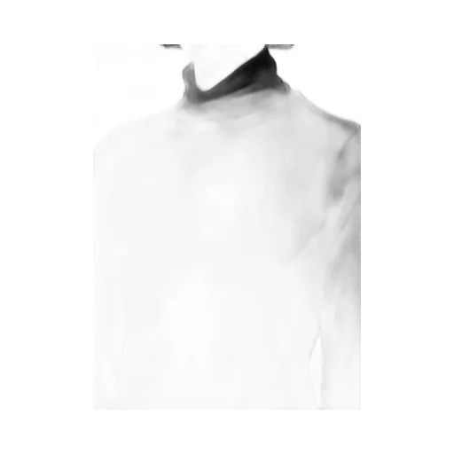 Casharn High Neck Long Slv T