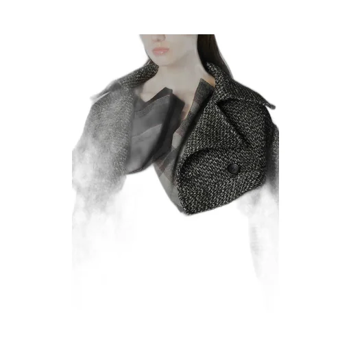 Dobby Heather Tweed Box D Sleeves Double F Short Jacket