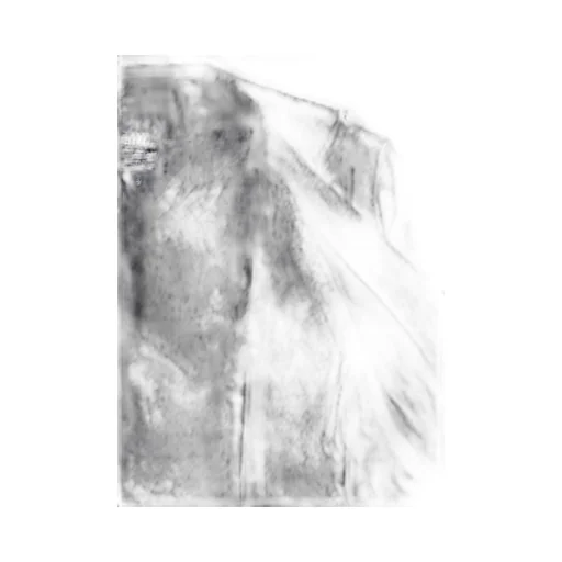 Wool Gauze Frilled Jacket