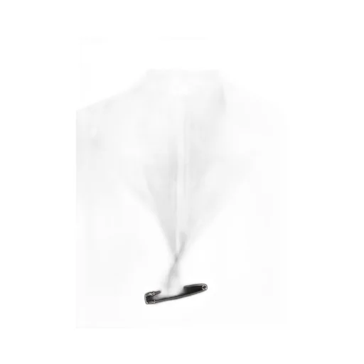 Triacetate Decin Tuck Shirt With Pin