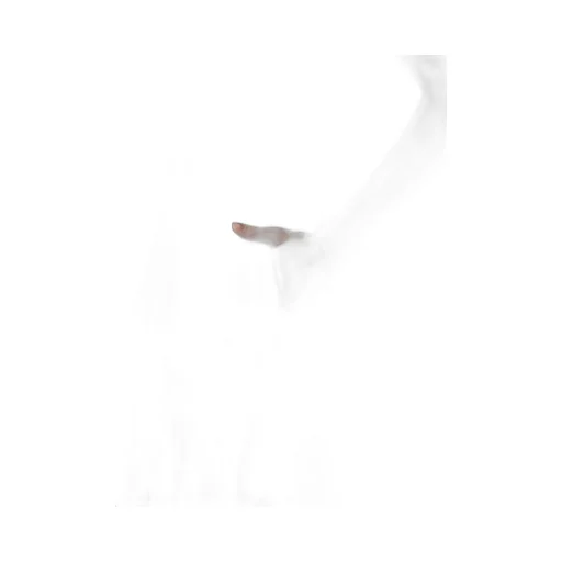 Hard Twist Gabardine Zip Dress