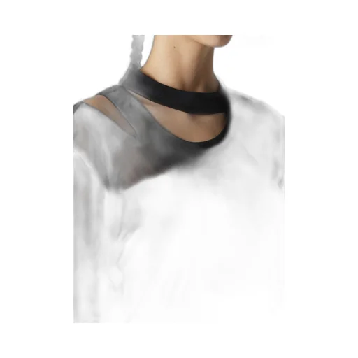 Tulle Slit Long Sleeve T-Shirt