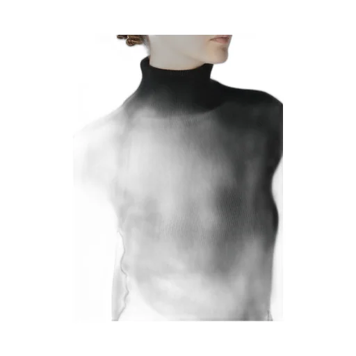 Standard Wool Plain Side Stitch Washable Short Turtle Neck Knit