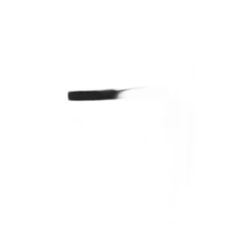 Standard W/Gabardine Slim Pants