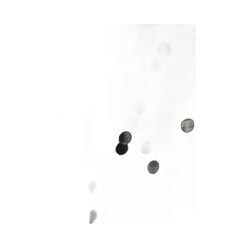 Cu/Ry Gabardine Dot Front Tied Pants