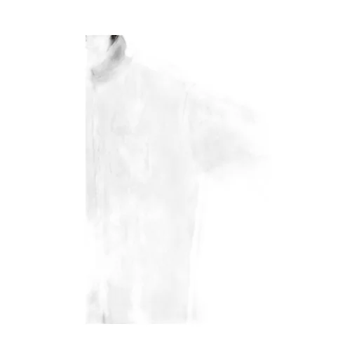 Leno Cloth Stand Collar Dress