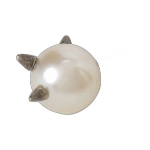[Y's X Pfe Takashi Deguchi]Pierce Pine Needle