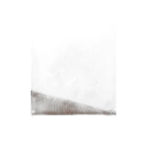 Polyhedron S