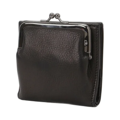 Clasp Wallet