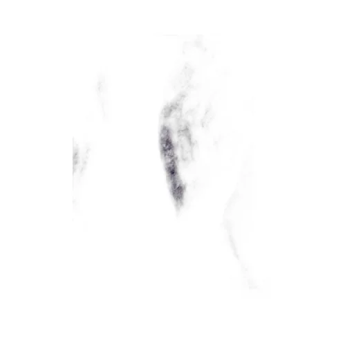 Sliver Scarf