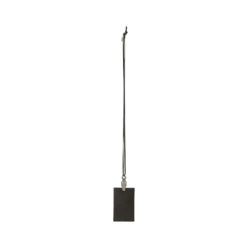 Pass Holder