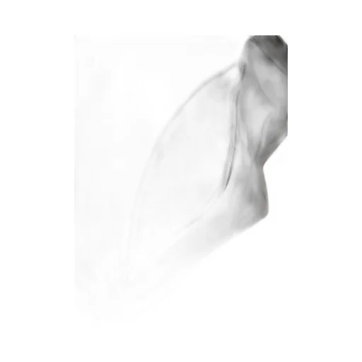 Triangle Shoulder
