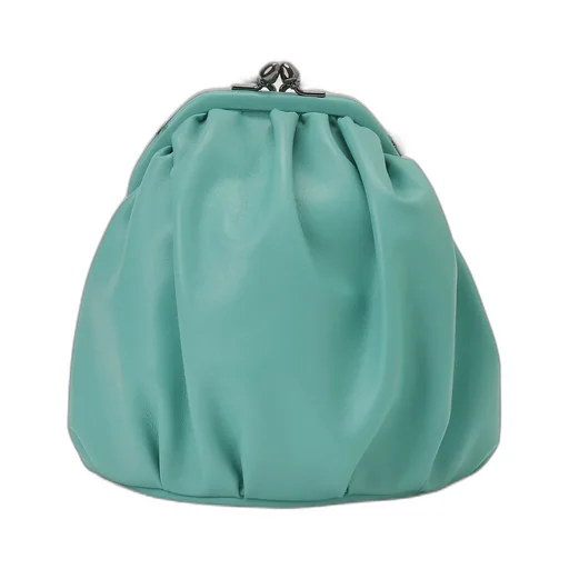 Clasp Drape Pouch