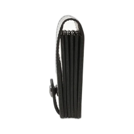 Accordion Cardcase