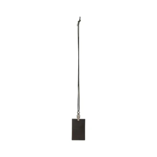 Pass Holder
