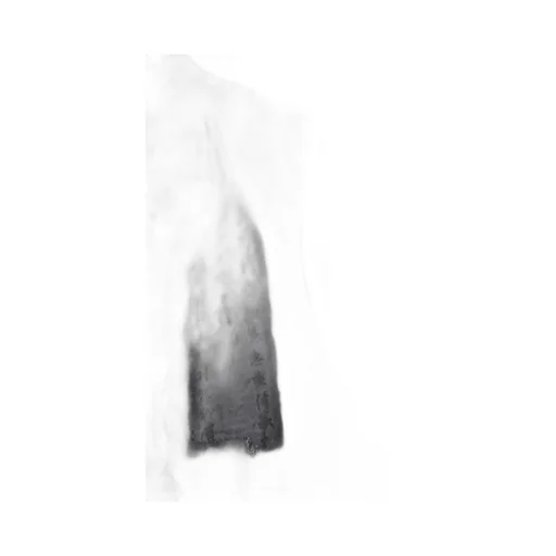 Biwa Lake Printed Transparent Vest