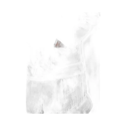 Jien Hiragana Pt Transparent V