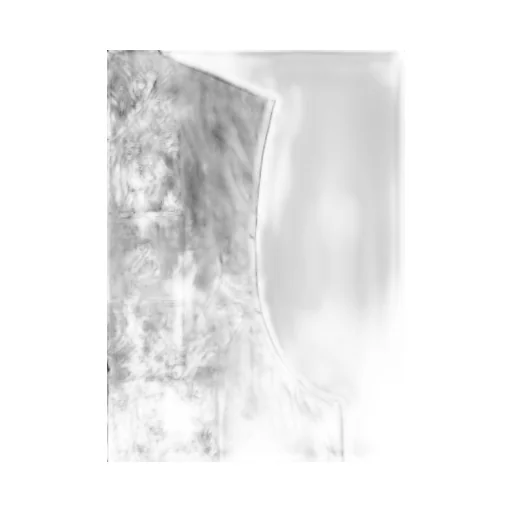 Hiragana Printed Transparent Vest