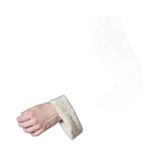 Ta Tuxedo Stand Collar Reversible Padded Blouse