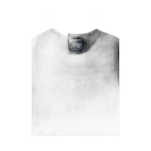 Wool Single Jersey Paneled Round Neck Long Slv T