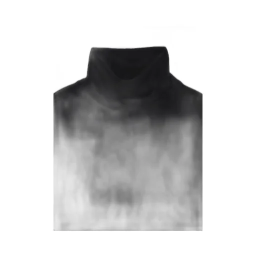 Super 120 Wool Single Jersey Turtle Neck Ls Tee